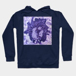 Grape glucose and fructose cells abstract Hoodie